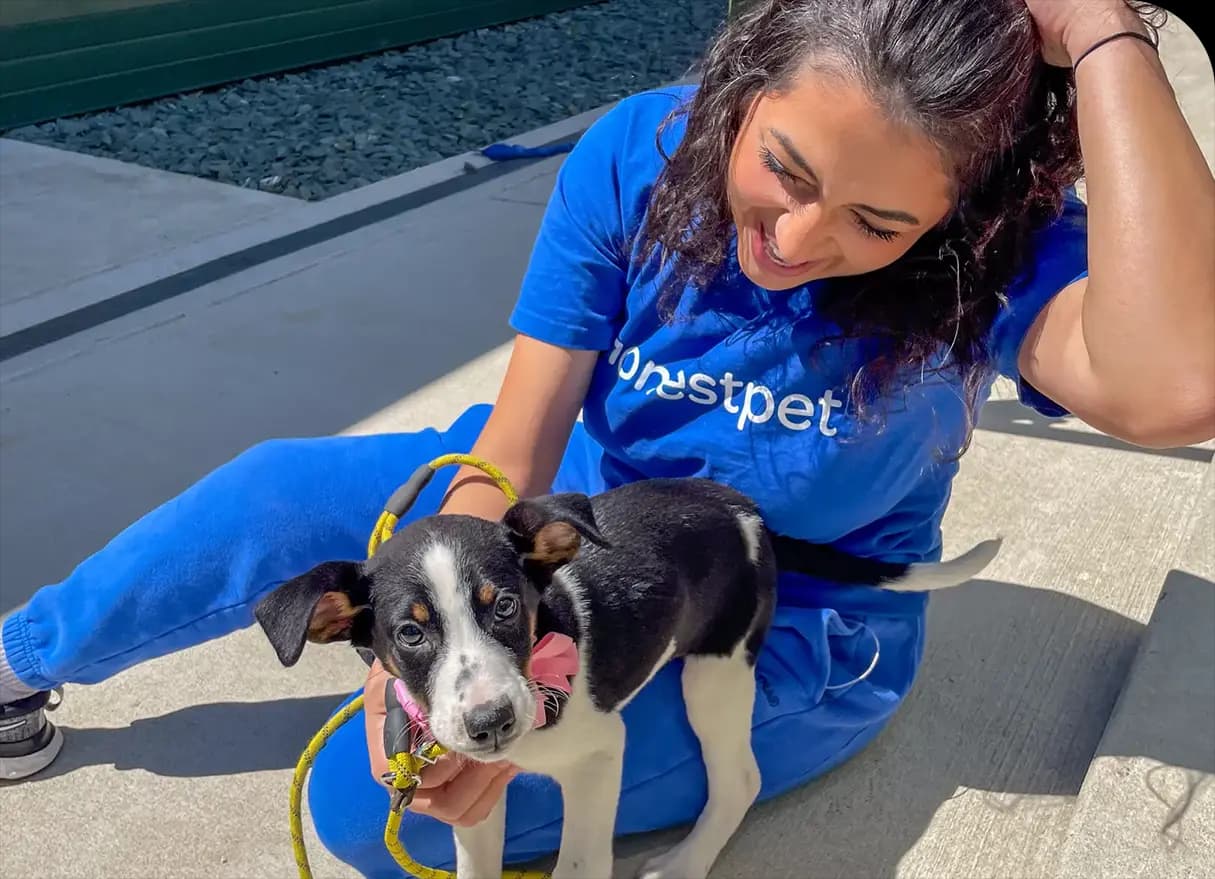 Lifetime Training & Support